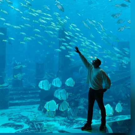 Сторчилов Андрей